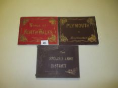 3 vintage and antiquarian Photographic View Album books including North Wales Scenery,