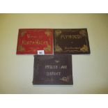 3 vintage and antiquarian Photographic View Album books including North Wales Scenery,