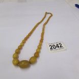 An amber graduated bead necklace with 9ct gold clasp (approximate length 46 cm)