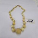 An ivory necklace with gold clasp (approximate length 43 cm)