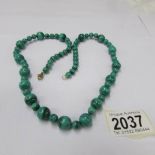 A malachite necklace with gold crab claw clasp (approximate length 60 cm)
