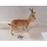 A Beswick Billy goat in good condition.