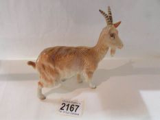 A Beswick Billy goat in good condition.