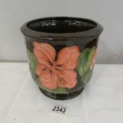 A Moorcroft Hibiscus planter, approximately 6.75'' high and 7'' diameter.