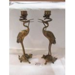 A pair of brass candlesticks in the form or heron/stork standing on a tortoise whilst holding a