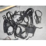 A large lot of horse tack.