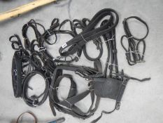 A large lot of horse tack.