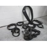 A large lot of horse tack and stirrups.