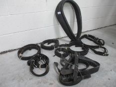 A large lot of horse tack and stirrups.