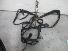 A big lot of horse harness and tack.