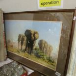 A framed and glazed David Shepherd print entitled 'The Ivory is Theirs', image 72 x 37 cm.