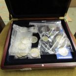 A case containing 4 silver Elizabeth II proof coins, 4 x £5 coins, other crowns etc.
