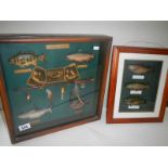 2 framed and glazed angling related collages.