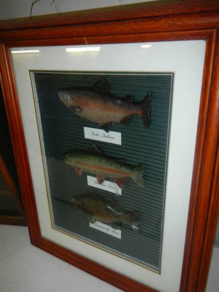 2 framed and glazed angling related collages. - Image 3 of 3