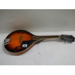 An 8 string Tanglewood teardrop mandolin.