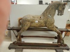 A Victorian wooden rocking horse in good condition for age, rear a/f.