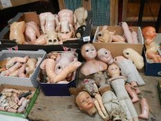 A large mixed lot of doll parts including arms, legs. torsos etc.