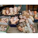 A large mixed lot of doll parts including arms, legs. torsos etc.