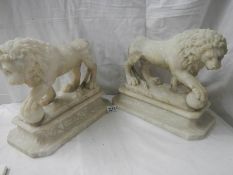 A matching pair of Victorian alabaster lions on bases.