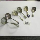4 silver plate caddy spoons and 2 sifter spoons.