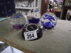 4 paperweights sea related