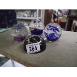 4 paperweights sea related