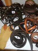 A quantity of horse harness.