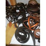 A quantity of horse harness.