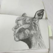 An artists sketch book of charcoal and pencil original futuristic animals