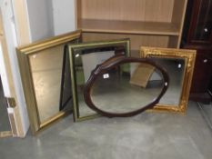 3 rectangular framed mirrors (one ornate and one gilt) plus one oval framed mirror