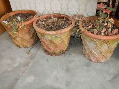 3 matching plant pots.