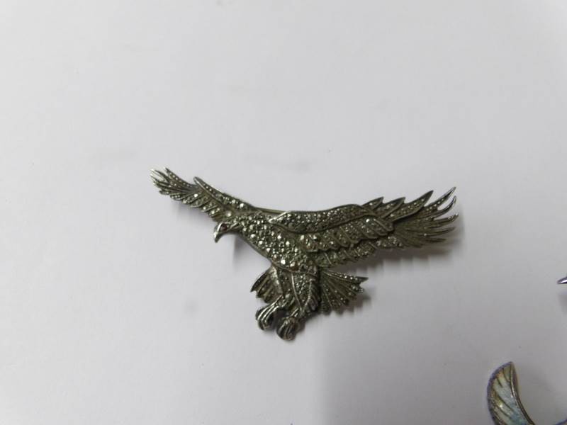 4 silver bird brooches circa 1940/50's being eagle, enamelled and stone set pheasant, - Bild 2 aus 5