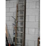 A quantity of wooden ladders.