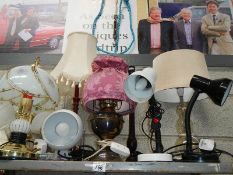 A shelf of assorted table lamps.