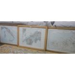 3 oak framed and glazed French maps.