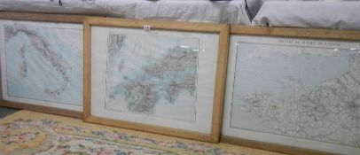 3 oak framed and glazed French maps.