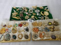 In excess of 50 assorted brooches.