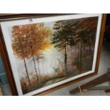 A framed and glazed print entitled Quiet Forest by Gerald Coulson.