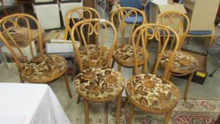 A set of 6 bentwood chairs.