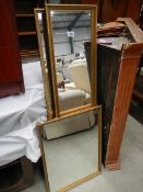 3 gilt framed mirrors.