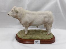 A Border Fine Arts Charolais Bull, B0587.