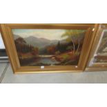 A good oil painting on board of highland cattle in stream, in gilt frame, image 75 x 47.5 cm.