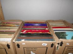 3 boxes of records.