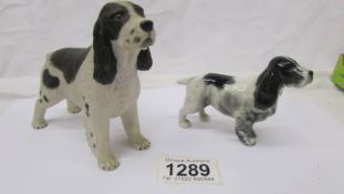 A Beswick cocker spaniel and an Aynsley cocker spaniel.