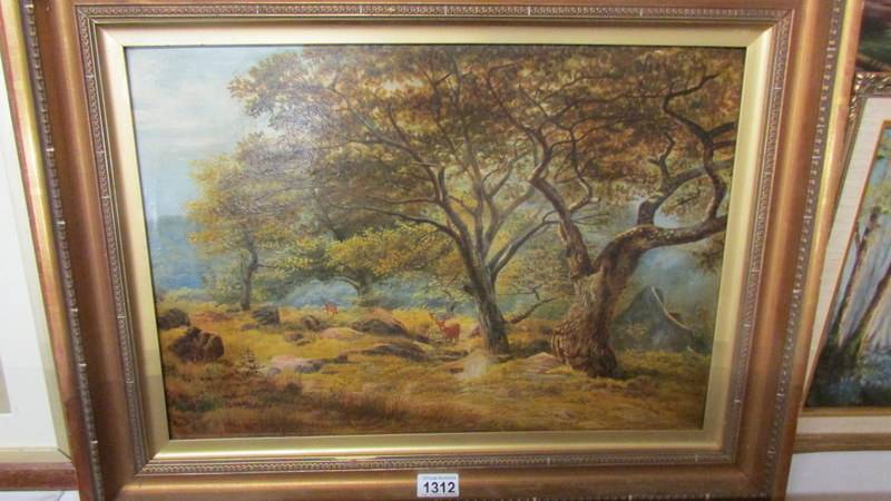 A good Victorian oil on canvas in gilt frame 'Deer in Woodland', signed but underneath frame,