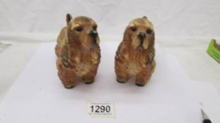 A pair of 1920's celluloid cocker spaniels.