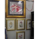 A signed watercolour of a flower and 4 framed and glazed floral prints.