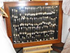 A good collection of souvenir spoons in display case (collect only).