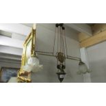 An Edwardian brass electrolier doubel rise and fall ceiling light with shades.