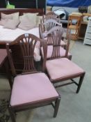 5 harp back chairs